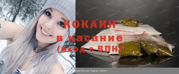 шишки Бронницы