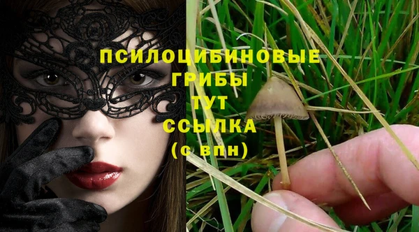 гидра Бугульма