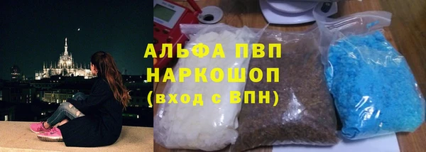 прущие грибы Бородино