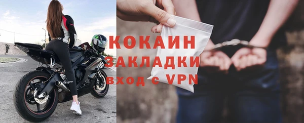 прущие грибы Бородино