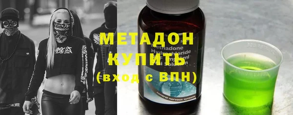 прущие грибы Бородино