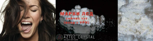 прущие грибы Бородино