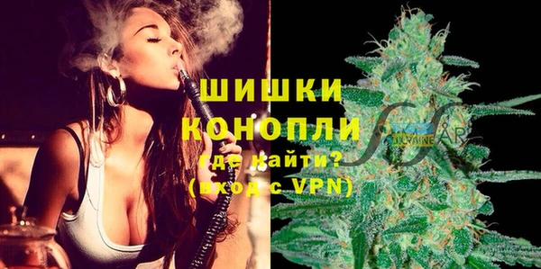 прущие грибы Бородино