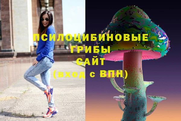 прущие грибы Бородино