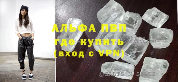 прущие грибы Бородино