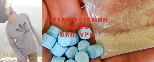 прущие грибы Бородино