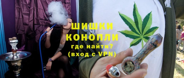 шишки Бронницы