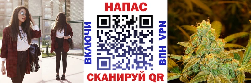 Купить  Верещагино  Конопля Ganja 